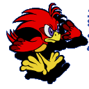 Source: scan, Sonic-3D Jap manual